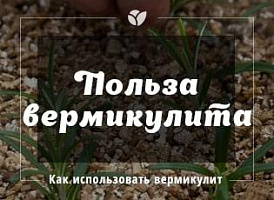 Вермикулит: применение  в саду и огороде