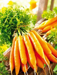 Морковь "Лакомка" 2г ТМ Аэлита18
